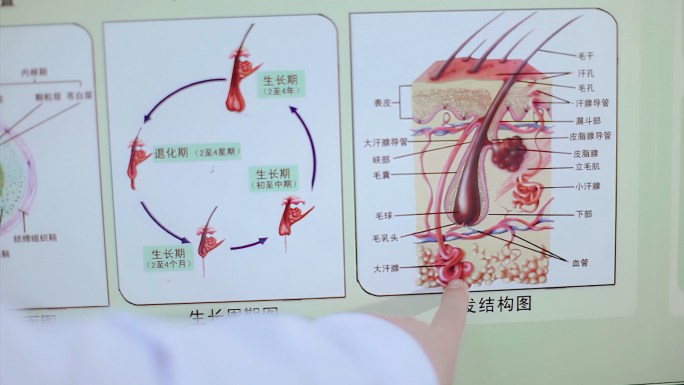 看腋臭医生查问病情