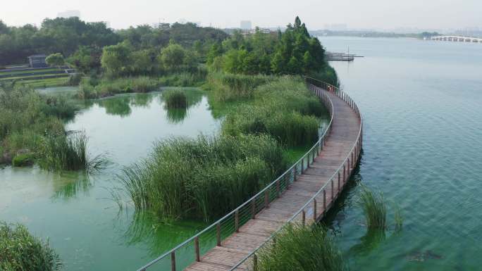 青岛胶州少海湿地航拍