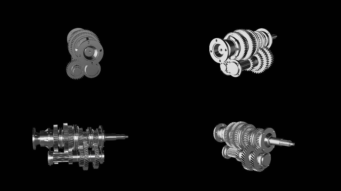 变速齿轮三维展示