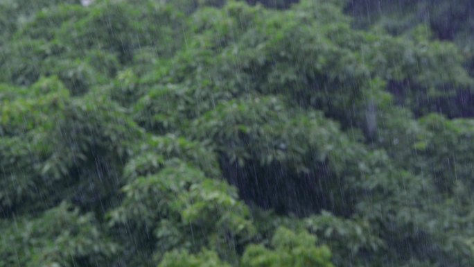 雨季下大雨暴雨天气变化风雨交加