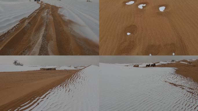 雪后沙纹与骆驼