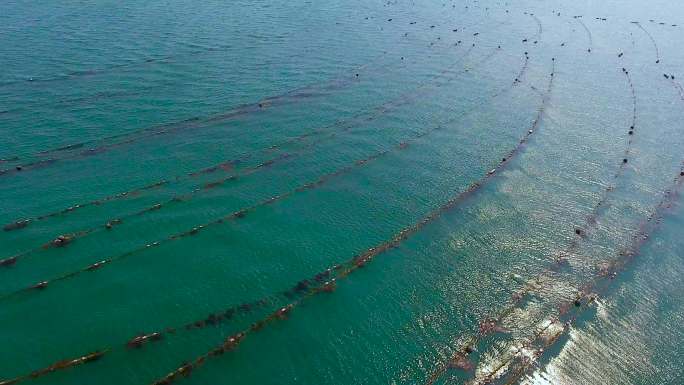 海洋牧场 海边 大型设备