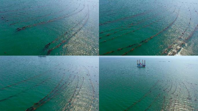 海洋牧场 海边 大型设备