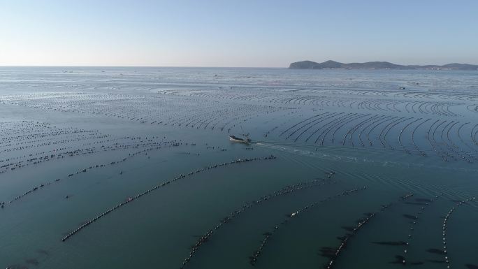 长海县 海参 大连海 海参养殖 大连灰度