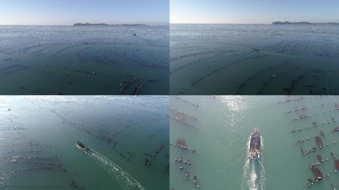 长海县 海参 大连海 海参养殖 大连灰度