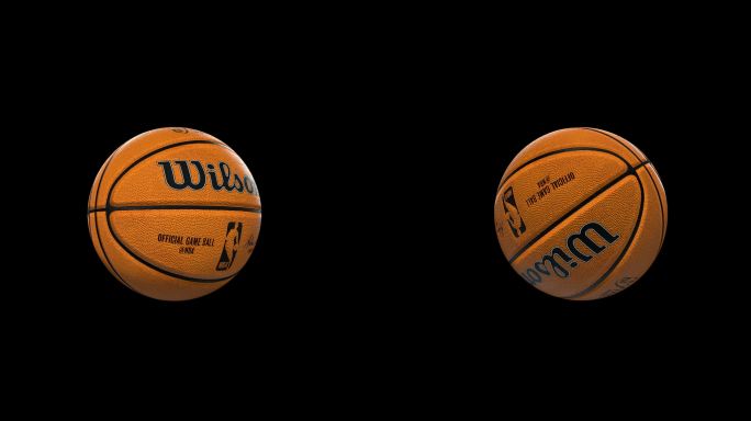 NBA官方总决赛Wilson威尔森篮球