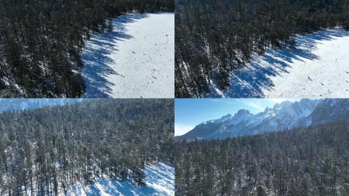 航拍玉龙雪山牦牛坪