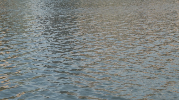 苏州河水面8K实拍原素材