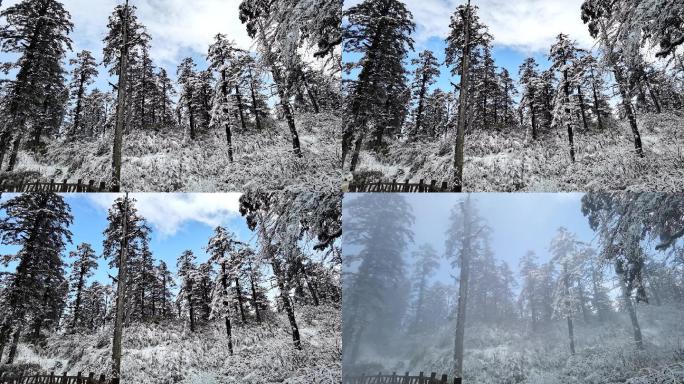 四川洪雅瓦屋山冰雪风光