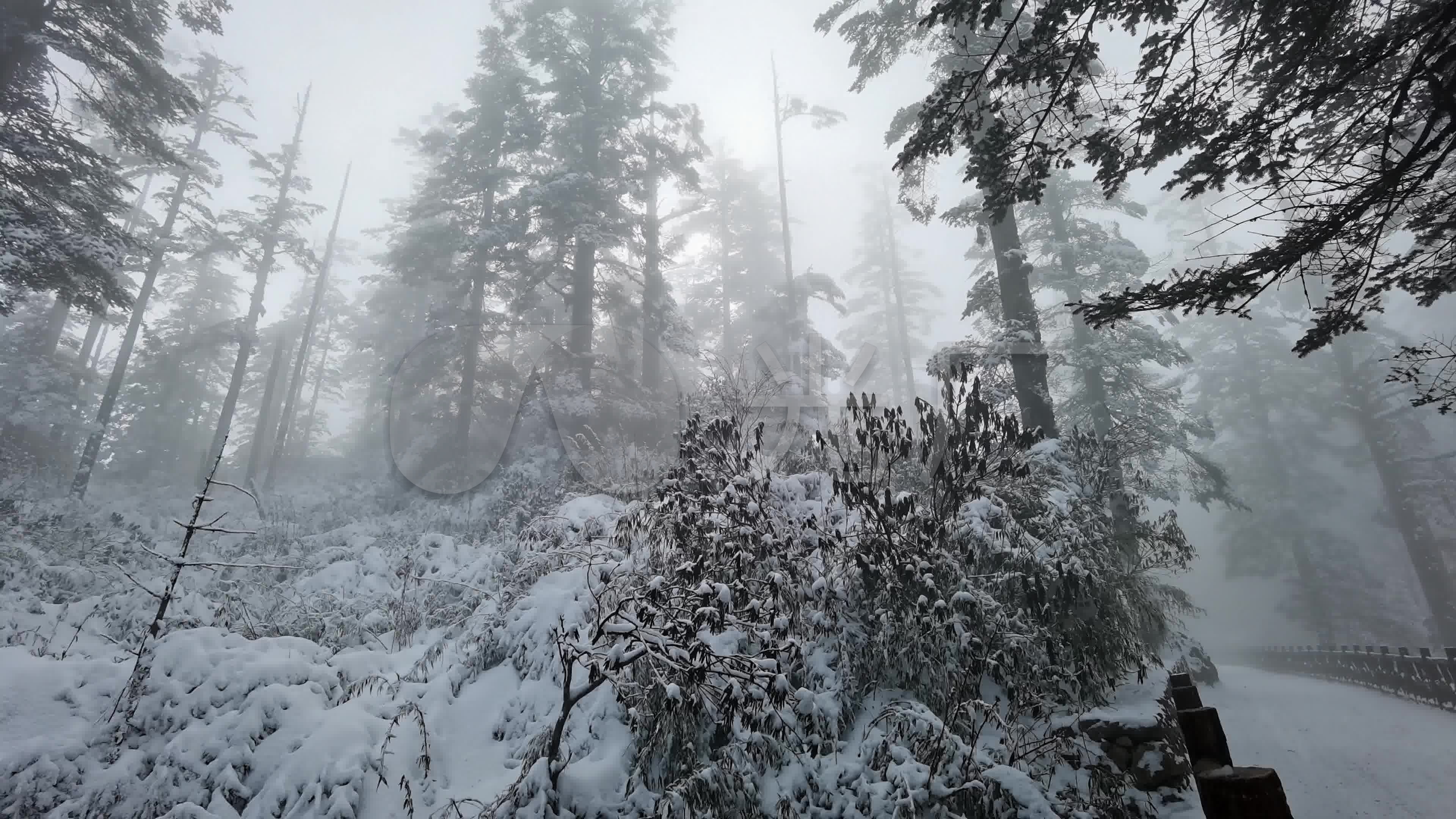瓦屋山国家森林公园银装素裹的雪景……__财经头条