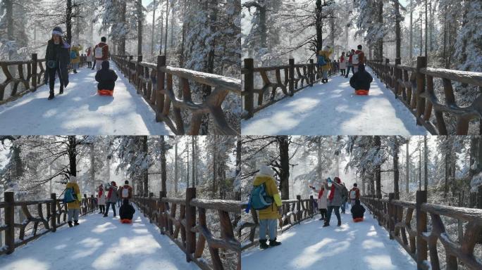 四川洪雅瓦屋山冰雪风光，瓦屋山云海雪景