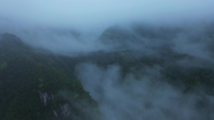 山区平流雾