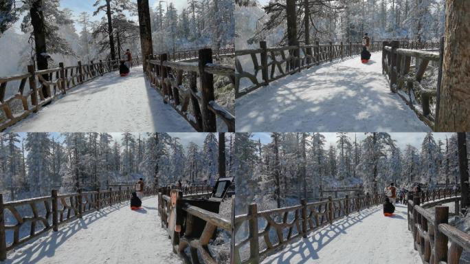 四川洪雅瓦屋山冰雪风光，瓦屋山云海雪景