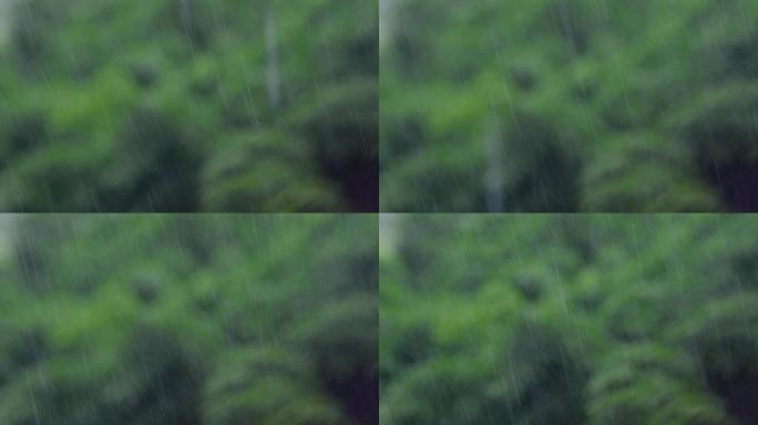 夏天雨季暴雨来临下大雨窗外雨景