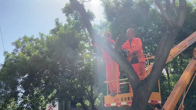 路政工人路边修理树木