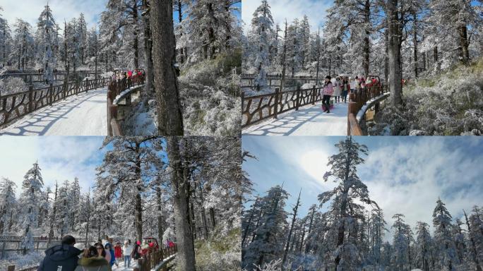 四川洪雅瓦屋山冰雪风光，瓦屋山云海雪景