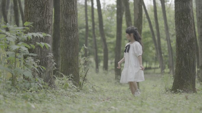 森林小女孩探索（fx3原素材）