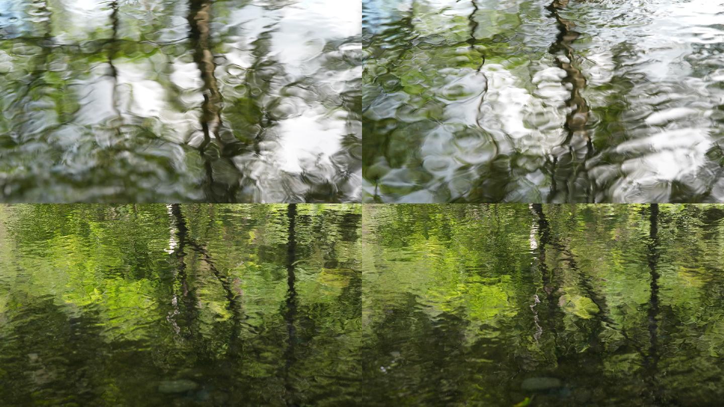 清澈溪水河流树倒影