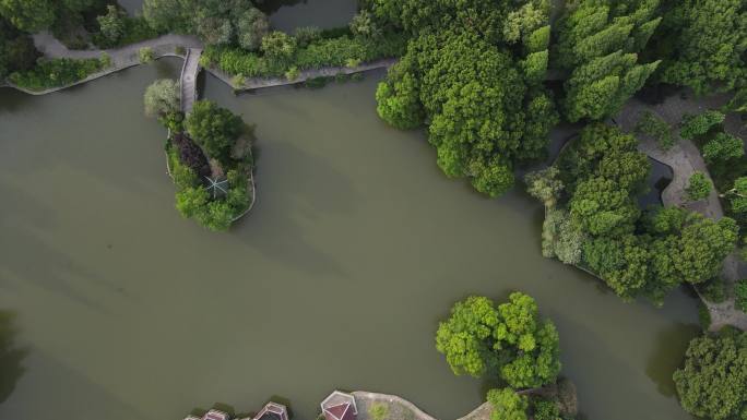 上海杨浦公园4K航拍原素材