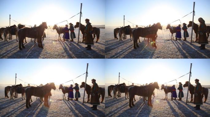 蒙古马 冬季