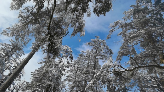 四川洪雅瓦屋山冰雪风光，瓦屋山云海雪景