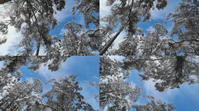 四川洪雅瓦屋山冰雪风光，瓦屋山云海雪景