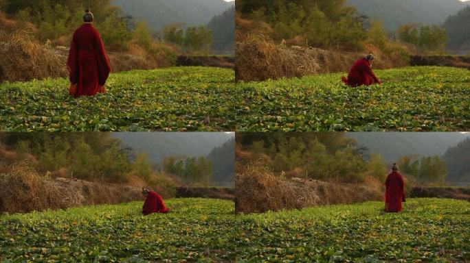 历史再现 老人在打理菜园