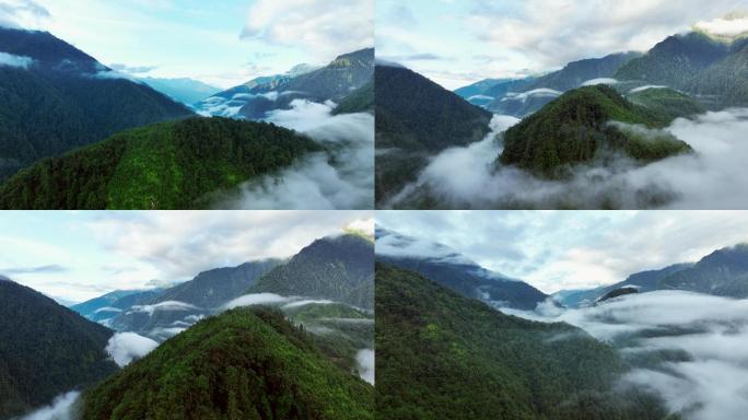 5K-高黎贡山云海，独龙江大峡谷云海