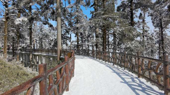 四川洪雅瓦屋山冰雪风光，瓦屋山云海雪景