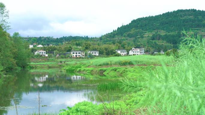 四川农村村庄河流田野空镜