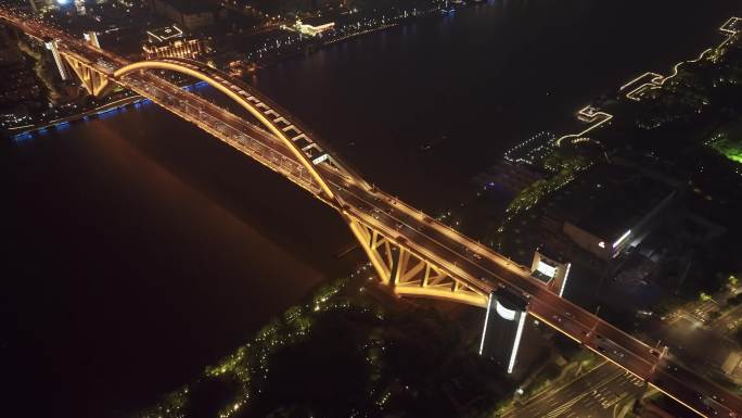 上海卢浦大桥夜景