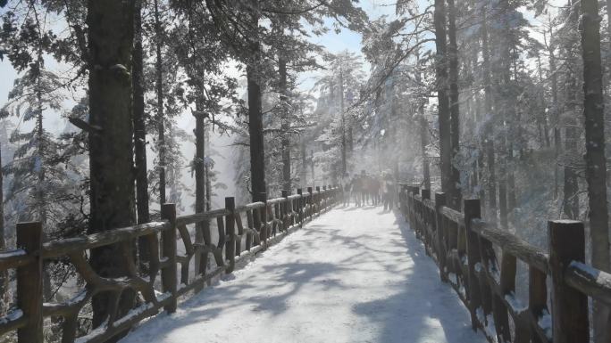 四川洪雅瓦屋山冰雪风光，瓦屋山云海雪景