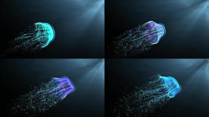 海洋生物水母动画