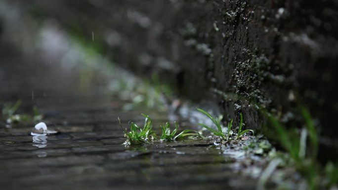 南京老门东雨巷雨滴