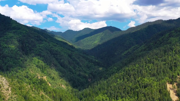 【4k】回到大山深处