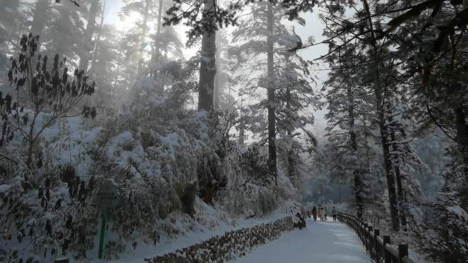 四川洪雅瓦屋山冰雪风光，瓦屋山云海雪景