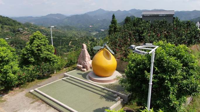 梅州大浦密柚公园