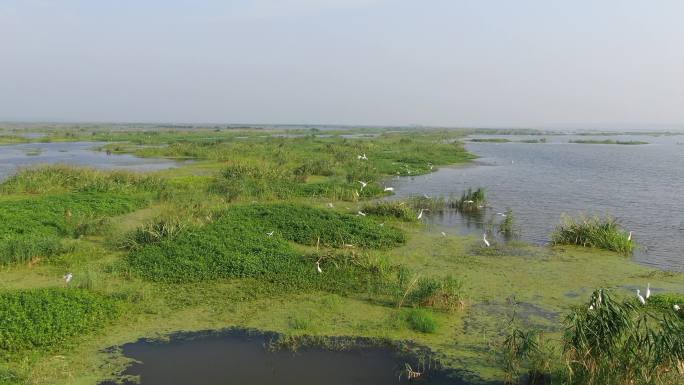 洪泽湖湿地风光