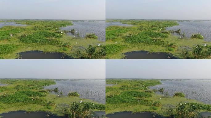 洪泽湖湿地风光