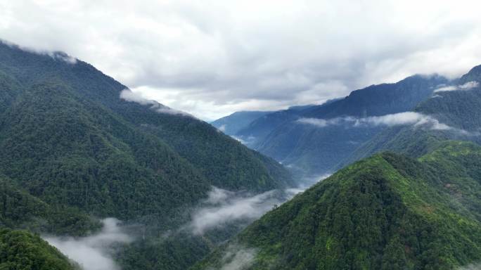 5K-高黎贡山云海，独龙江峡谷云雾航拍