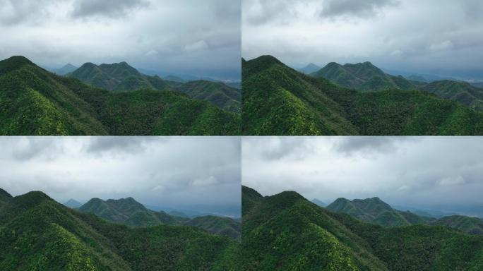 航拍浙江山区群山青山绿水竹林竹山竹海诸暨