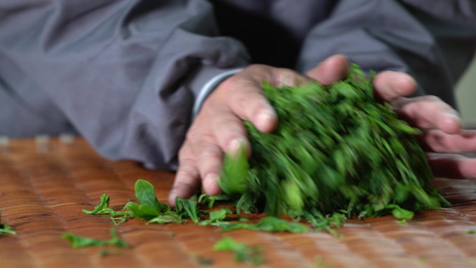 浙江绍兴茶叶制作加工手揉捻特写