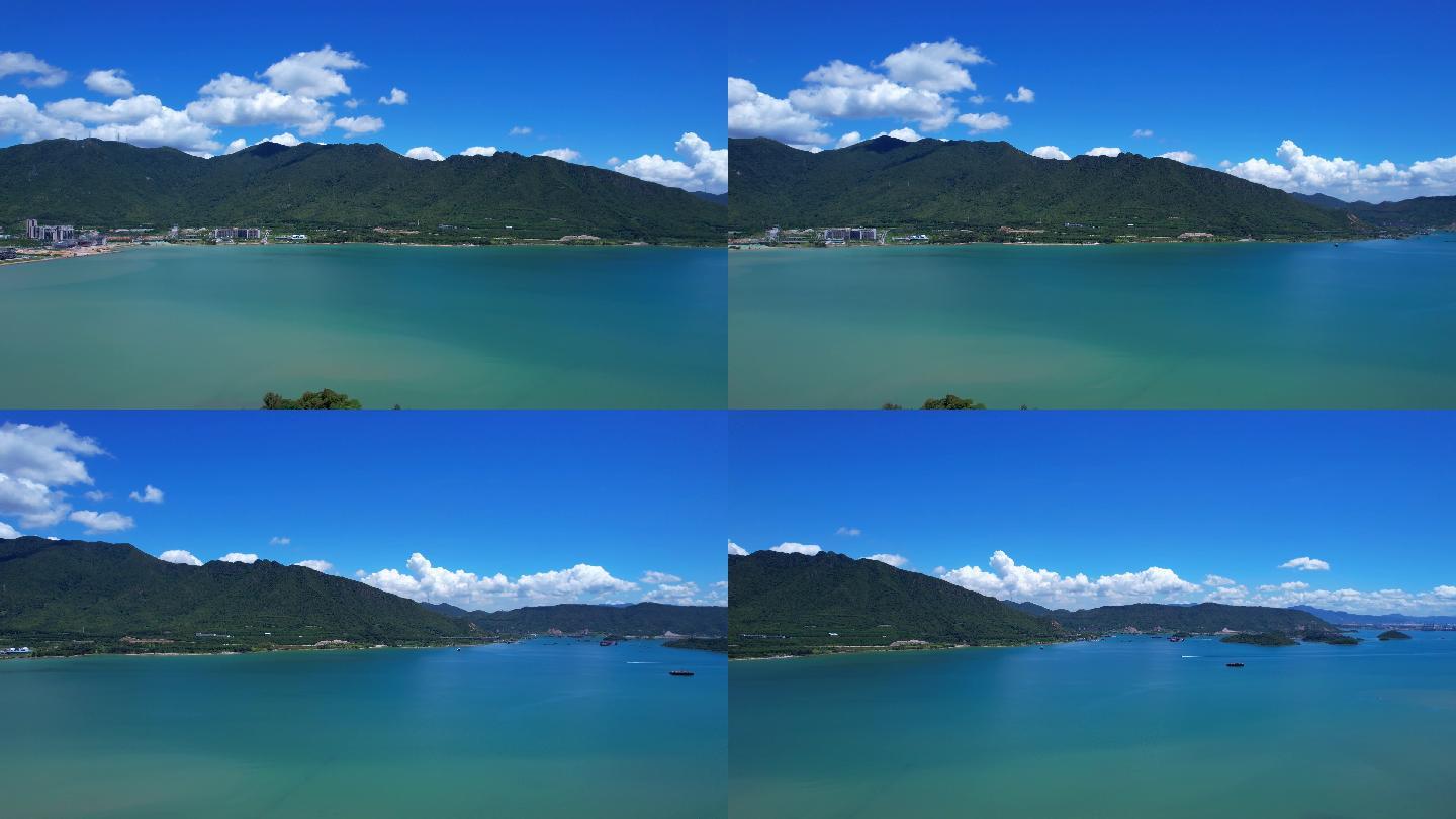 坝光(坝光银叶树湿地公园)