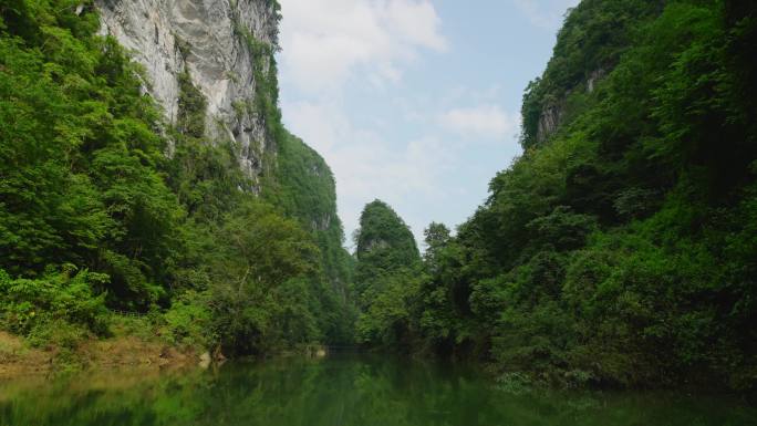 溪水河流景色自然风光绿水青山森林湿地山河