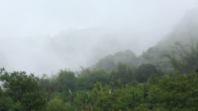 雨后山林