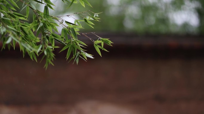 烟雨江南唯美小景