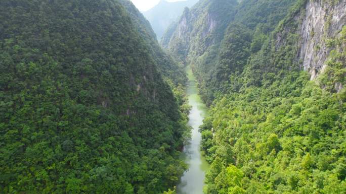 航拍绿水青山溪流河流植物河水峡谷村庄生态