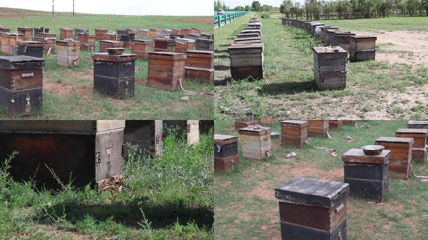 蜂房 养蜂