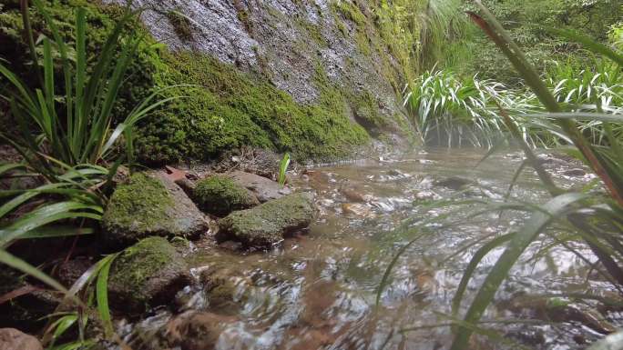 武夷山泉水无人溪流安静