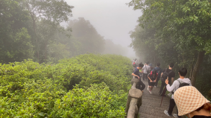 夜晚成群登山的人群8